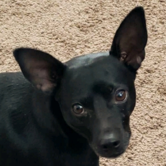 ♡ - Picture 1 of 1